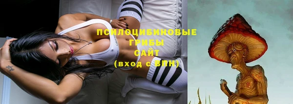 мдма Новозыбков
