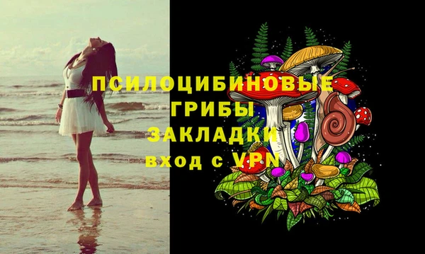 мдма Новозыбков