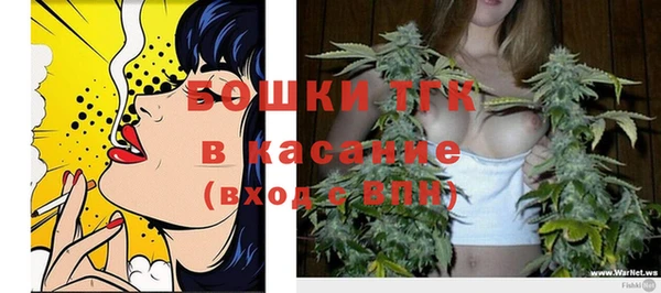 дурь Новодвинск