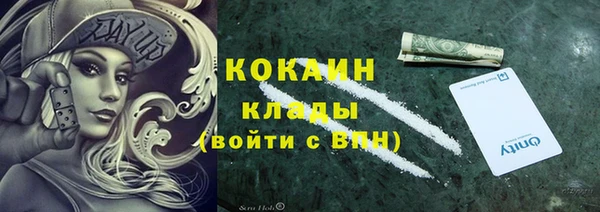 дурь Новодвинск