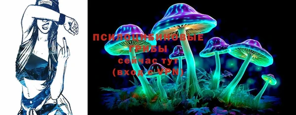 дурь Новодвинск