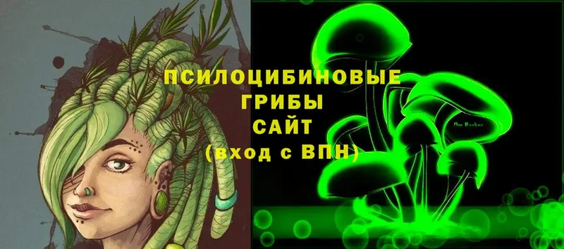 Псилоцибиновые грибы ЛСД  KRAKEN зеркало  Новоузенск 