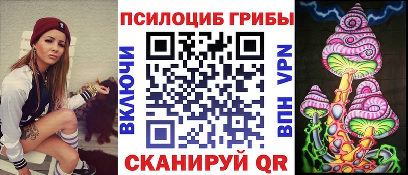 Псилоцибиновые грибы прущие грибы  Новоузенск 